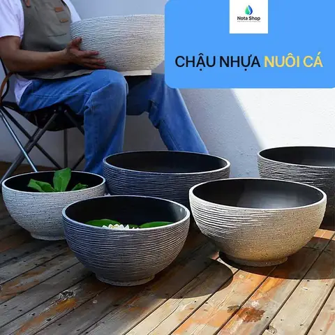 Thùng Nhựa Nuôi Cá: Kích Thước, Loại Tốt & Lợi Ích Vượt Trội
