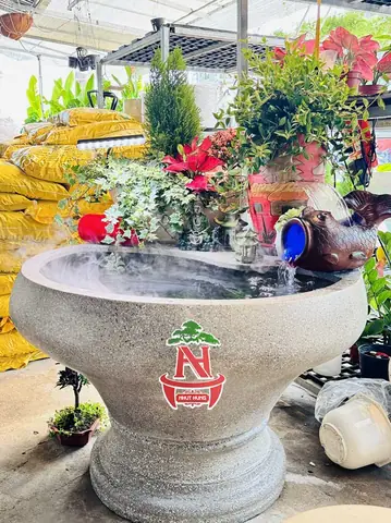 Chậu Nuôi Cá Đẹp: Chọn Mẫu Chậu Nào Cho Hồ Cá Cảnh, Cây Thủy Sinh?