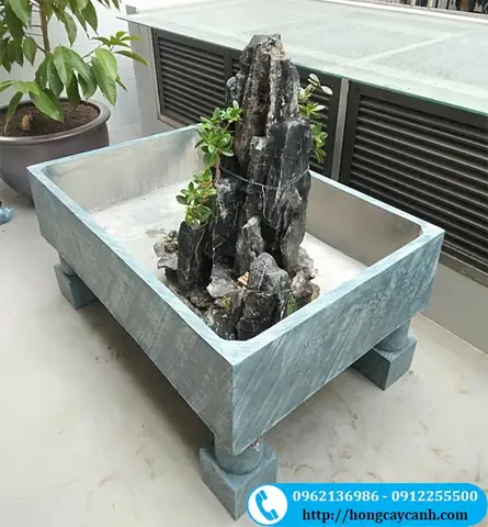 Chậu Nuôi Cá Đẹp: Chọn Mẫu Chậu Nào Cho Hồ Cá Cảnh, Cây Thủy Sinh?