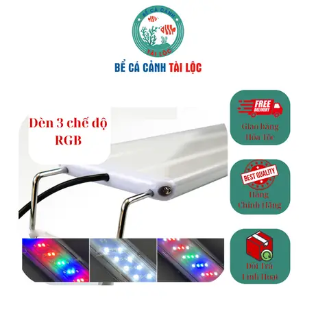 Hướng Dẫn Chế Đèn Led Bể Cá Đơn Giản Và Hiệu Quả