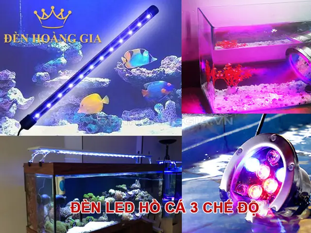 Hướng Dẫn Chế Đèn Led Bể Cá Đơn Giản Và Hiệu Quả