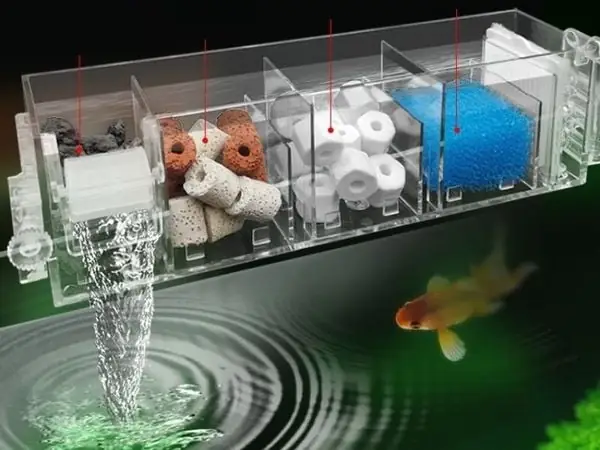 Hướng Dẫn Tự Chế Lọc Tràn Bể Cá Đơn Giản, Hiệu Quả Tại Nhà