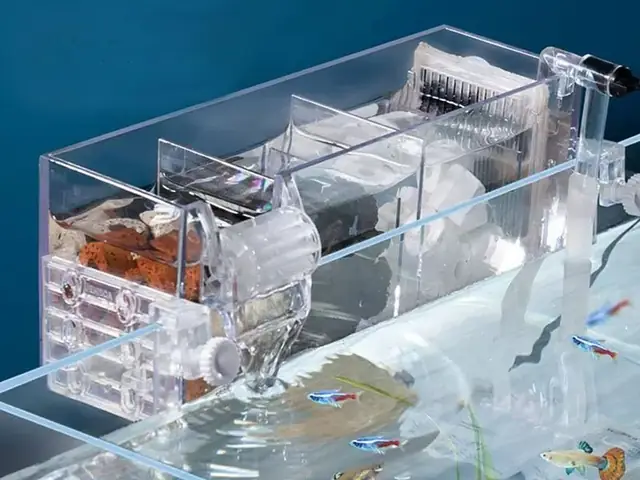Hướng Dẫn Tự Chế Lọc Tràn Bể Cá Đơn Giản, Hiệu Quả Tại Nhà