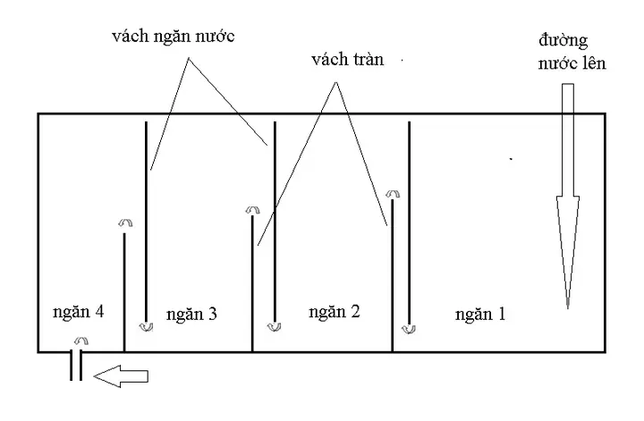 Hướng Dẫn Tự Chế Lọc Tràn Bể Cá Đơn Giản, Hiệu Quả Tại Nhà