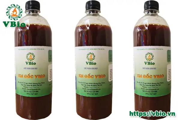 Chế Phẩm Sinh Học Làm Trong Nước Hồ Cá: Hướng Dẫn Chi Tiết & Lựa Chọn Tốt Nhất