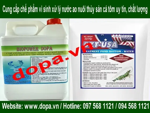 Chế Phẩm Xử Lý Nước Ao Nuôi Cá: Bí Quyết Cải Thiện Môi Trường, Tăng Năng Suất
