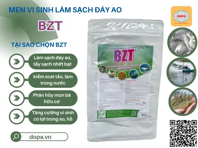 Chế Phẩm Xử Lý Nước Ao Nuôi Cá: Bí Quyết Cải Thiện Môi Trường, Tăng Năng Suất
