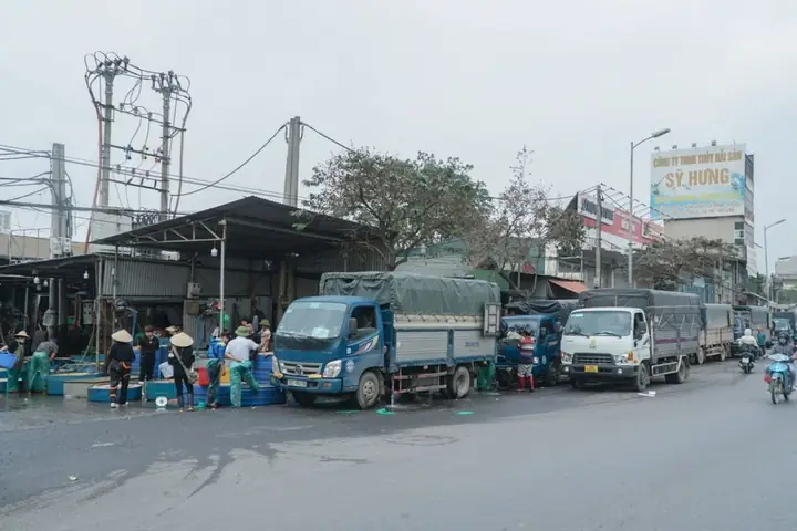 Chợ Cá Yên Sở: Thông Tin Chi Tiết Về Chợ Đầu Mối Thủy Sản Lớn Nhất Hà Nội Chợ Cá Yên Sở: Thông Tin Chi Tiết Về Chợ Đầu Mối Thủy Sản Lớn Nhất Hà Nội