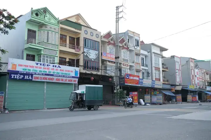Chợ Đầu Mối Cá Cảnh Hà Nội: Địa Chỉ, Kinh Nghiệm Mua Sắm & Lưu Ý