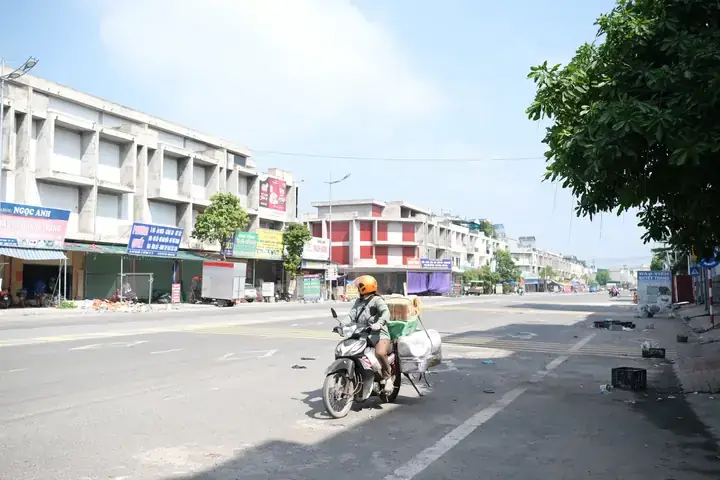 Chợ Đầu Mối Cá Cảnh Hà Nội: Địa Chỉ, Kinh Nghiệm Mua Sắm & Lưu Ý