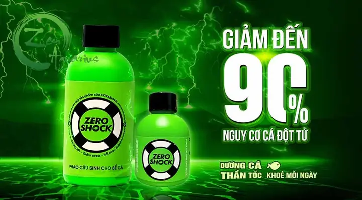 Hướng Dẫn Xử Lý Và Phòng Ngừa Cá Bị Sốc Nước Hiệu Quả