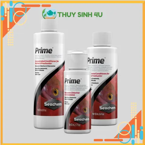 Hướng Dẫn Xử Lý Và Phòng Ngừa Cá Bị Sốc Nước Hiệu Quả