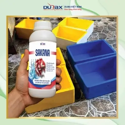 Hướng Dẫn Chống Thấm Hồ Cá Xi Măng Hiệu Quả, Bền Vững Và An Toàn