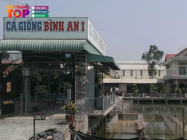 Top 10+ Cơ Sở Bán Cá Giống Uy Tín, Chất Lượng & Giao Hàng Toàn Quốc Top 10+ Cơ Sở Bán Cá Giống Uy Tín, Chất Lượng & Giao Hàng Toàn Quốc