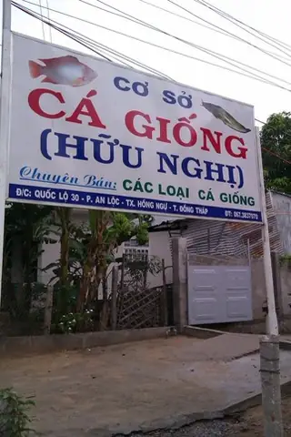 Top 10+ Cơ Sở Bán Cá Giống Uy Tín, Chất Lượng & Giao Hàng Toàn Quốc Top 10+ Cơ Sở Bán Cá Giống Uy Tín, Chất Lượng & Giao Hàng Toàn Quốc