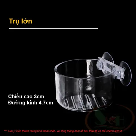 Cốc Cho Cá Ăn: Đánh Giá, Lựa Chọn & Hướng Dẫn Sử Dụng Tốt Nhất