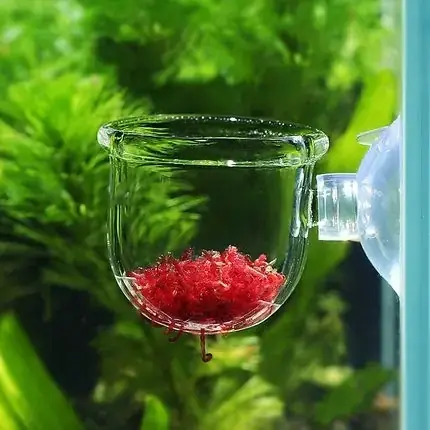 Cốc Cho Cá Ăn: Đánh Giá, Lựa Chọn & Hướng Dẫn Sử Dụng Tốt Nhất