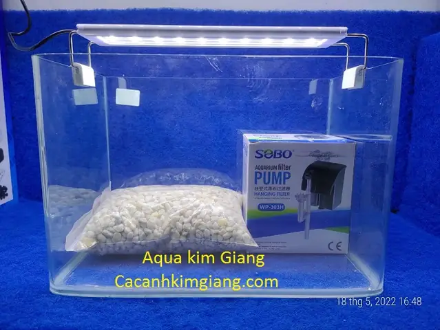 Combo Bể Cá Mini: Lựa Chọn Tối Ưu Cho Dân Văn Phòng & Người Mới Bắt Đầu Combo Bể Cá Mini: Lựa Chọn Tối Ưu Cho Dân Văn Phòng & Người Mới Bắt Đầu