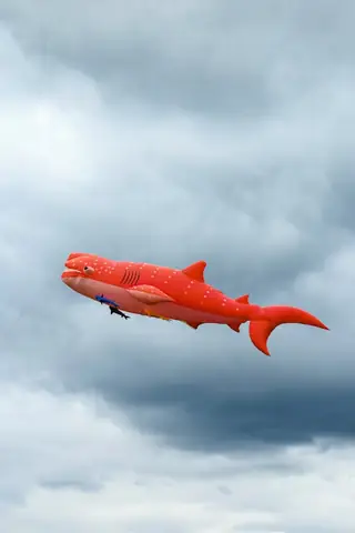 Baby Shark Con Cá Mập Màu Đỏ: Nguồn Gốc, Ý Nghĩa Và Các Phiên Bản Phổ Biến