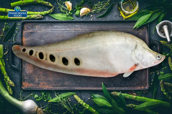 Cá Thát Lát: Đặc Điểm, Các Loại, Mua Ở Đâu Và Chế Biến Món Ngon Cá Thát Lát: Đặc Điểm, Các Loại, Mua Ở Đâu Và Chế Biến Món Ngon