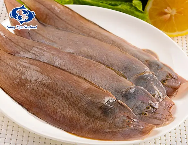Cá Thờn Bơn: Đặc Điểm, Nguồn Gốc Và Giá Trị Ẩm Thực Cá Thờn Bơn: Đặc Điểm, Nguồn Gốc Và Giá Trị Ẩm Thực