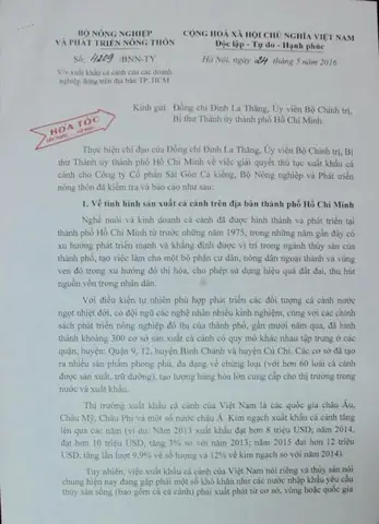 Công Ty Cổ Phần Sài Gòn Cá Kiểng: Mã Số Thuế, Địa Chỉ Và Thông Tin Chi Tiết