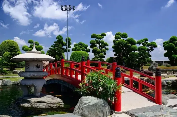 Công Viên Cá Chép Rin Rin Park: Thông Tin Chi Tiết & Kinh Nghiệm Tham Quan Hóc Môn