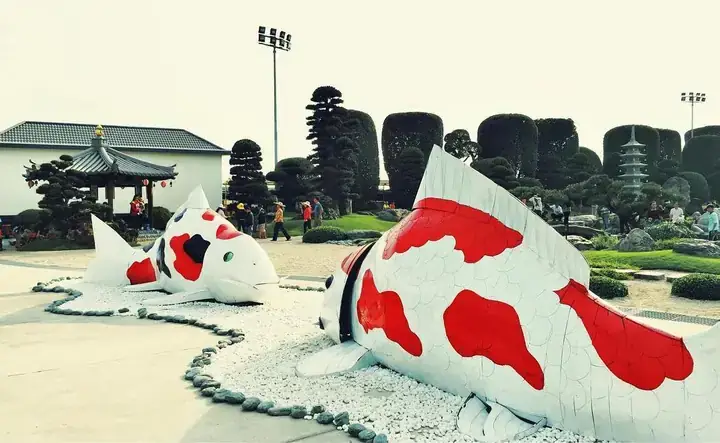 Công Viên Hồ Cá Koi: Trải Nghiệm Vườn Nhật Bản Thu Nhỏ Giữa Lòng Thành Phố