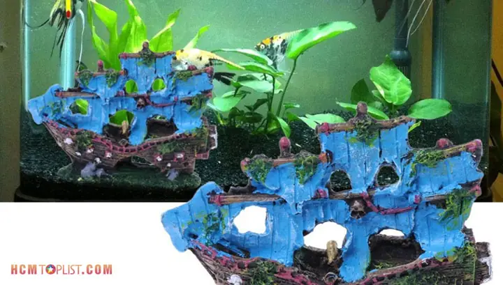 Top Cửa Hàng & Phụ Kiện Trang Trí Hồ Cá Uy Tín, Giá Tốt