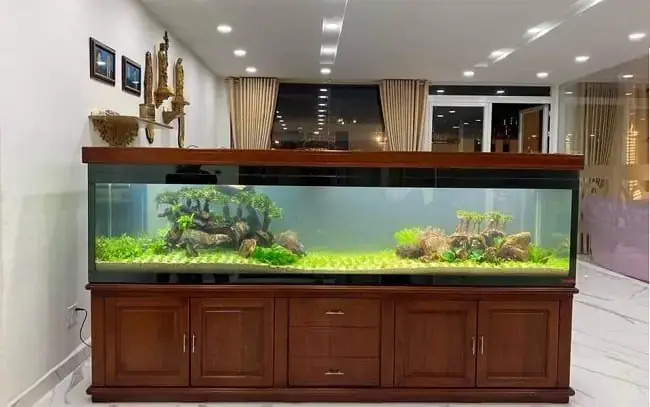 Top 10 Cửa Hàng Hồ Cá Cảnh Uy Tín Nhất Tp.hcm: Hướng Dẫn Lựa Chọn & Mua Sắm