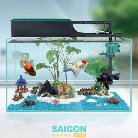 Top 10 Cửa Hàng Hồ Cá Cảnh Uy Tín Nhất Tp.hcm: Hướng Dẫn Lựa Chọn & Mua Sắm