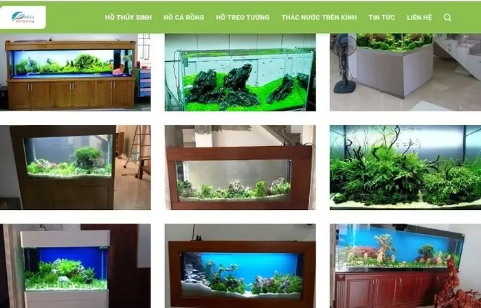 Top 10 Cửa Hàng Hồ Cá Cảnh Uy Tín Nhất Tp.hcm: Hướng Dẫn Lựa Chọn & Mua Sắm