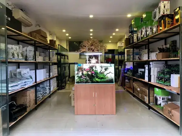 Cửa Hàng Bể Kính Cá Cảnh Anh Quân: Thông Tin, Đánh Giá Và Địa Chỉ