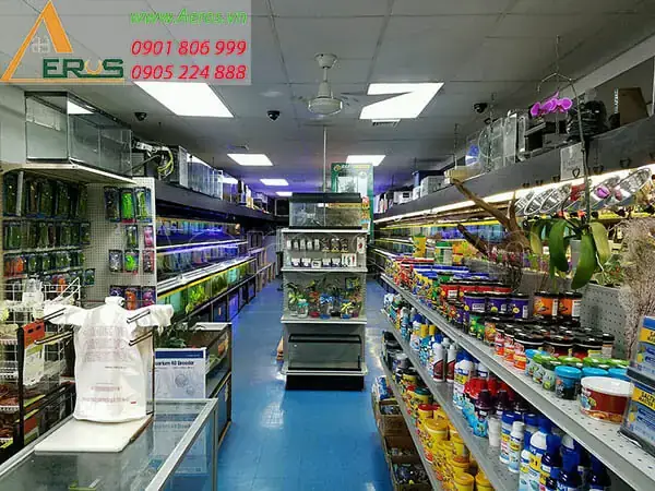Top Cửa Hàng Cá Cảnh Bình Dương: Địa Chỉ Uy Tín, Tư Vấn Chọn Cá & Phụ Kiện