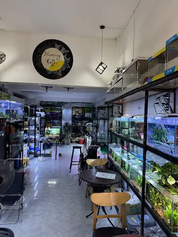 Top Cửa Hàng Cá Cảnh Uy Tín: Địa Chỉ, Sản Phẩm Và Kinh Nghiệm Mua Sắm Top Cửa Hàng Cá Cảnh Uy Tín: Địa Chỉ, Sản Phẩm Và Kinh Nghiệm Mua Sắm