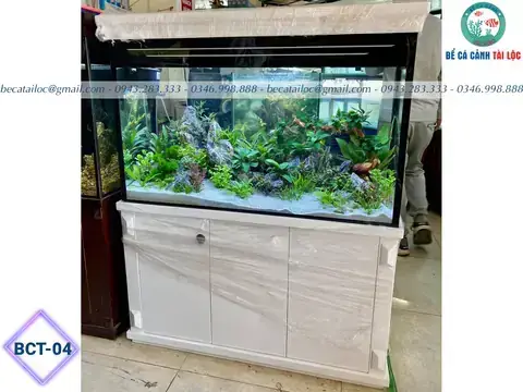 Cửa Hàng Cá Cảnh Tài Lộc: Hướng Dẫn Chọn, Mua Và Mẹo Trang Trí