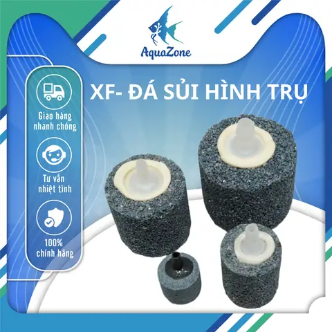 Cục Sủi Oxy Bể Cá: Hướng Dẫn Chọn Mua & Tác Dụng Chi Tiết