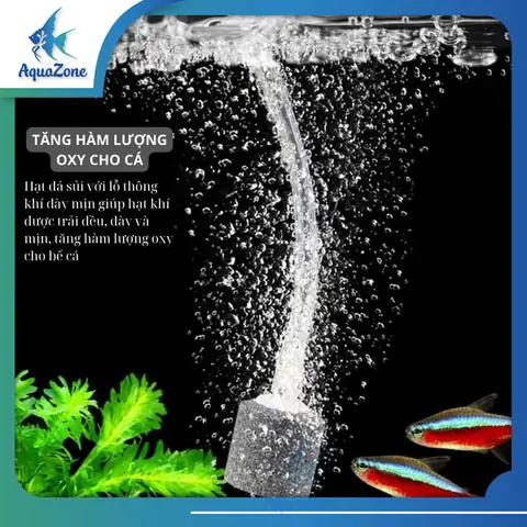 Cục Sủi Oxy Bể Cá: Hướng Dẫn Chọn Mua & Tác Dụng Chi Tiết