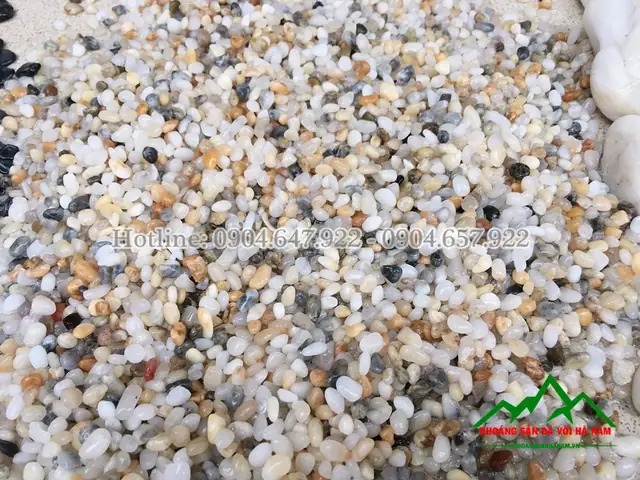 Đá Thả Bể Cá: Các Loại Phổ Biến, Cách Chọn Và Trang Trí Đẹp Mắt