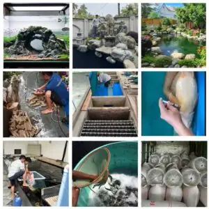 Đại Lý Cám Cá Tại Tphcm: Địa Chỉ Uy Tín, Giá Tốt & Loại Cám Phổ Biến