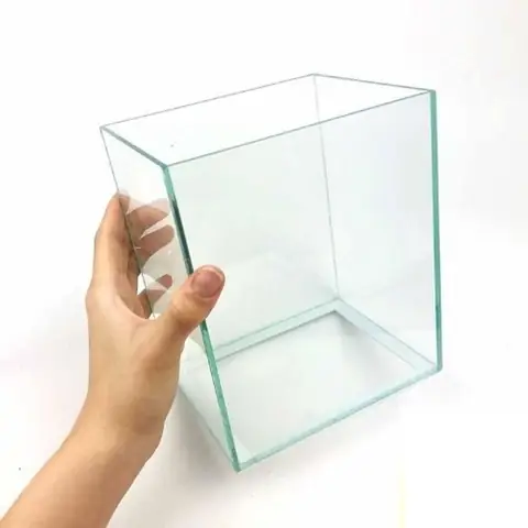 Dàn Hồ Cá Betta: Hướng Dẫn Setup, Lựa Chọn & Kinh Nghiệm Nuôi Toàn Diện
