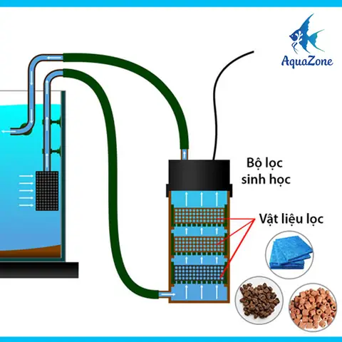 Dàn Lọc Nước Hồ Cá: Cấu Tạo, Phân Loại Và Kinh Nghiệm Chọn Mua Dàn Lọc Nước Hồ Cá: Cấu Tạo, Phân Loại Và Kinh Nghiệm Chọn Mua