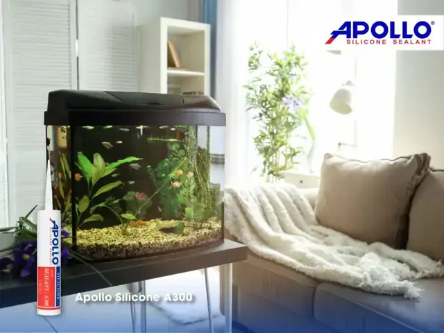 Hướng Dẫn Chi Tiết Cách Dán Viền Bể Cá Đẹp Mắt Như Chuyên Gia Hướng Dẫn Chi Tiết Cách Dán Viền Bể Cá Đẹp Mắt Như Chuyên Gia
