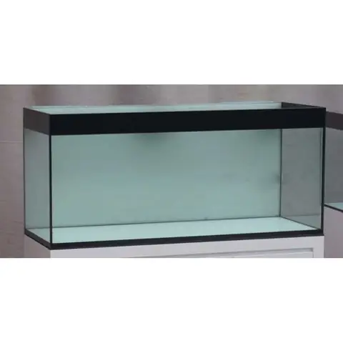 Hướng Dẫn Chi Tiết Cách Dán Viền Hồ Cá Đẹp, Bền Bỉ & Lựa Chọn Vật Liệu Phù Hợp