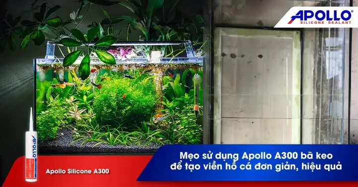 Hướng Dẫn Chi Tiết Cách Dán Viền Hồ Cá Đẹp, Bền Bỉ & Lựa Chọn Vật Liệu Phù Hợp