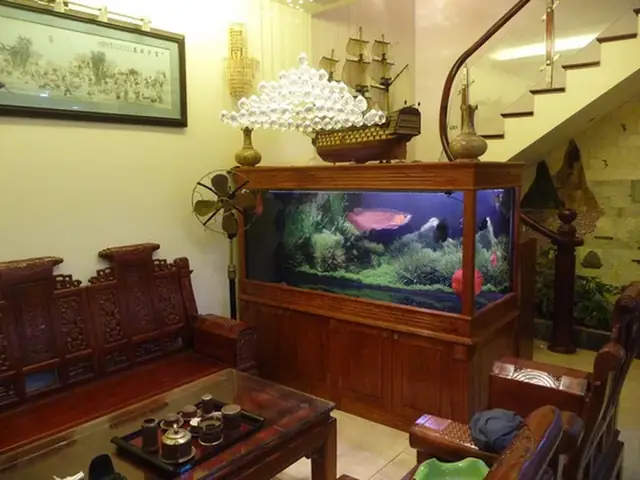 Có Nên Đặt Bể Cá Cạnh Bàn Thờ Không? Hướng Dẫn Chi Tiết Theo Phong Thủy