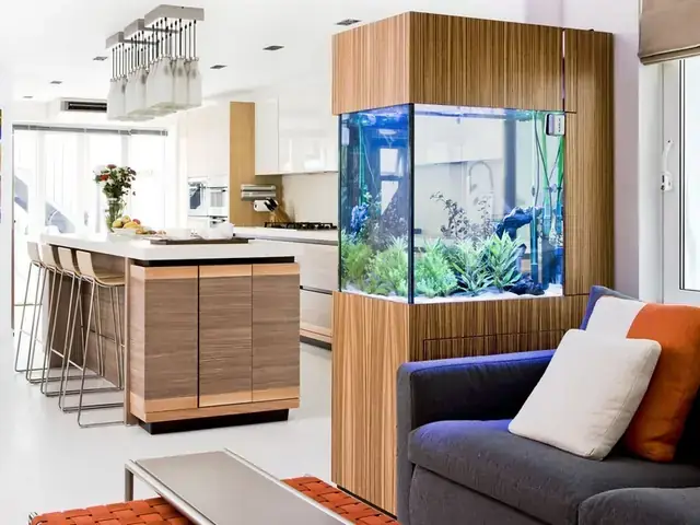Đặt Bể Cá Đối Diện Cửa Ra Vào: Nên Hay Không & Giải Pháp Phong Thủy Tốt Nhất