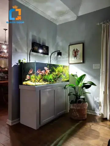 Đặt Bể Cá Đối Diện Cửa Ra Vào: Nên Hay Không & Giải Pháp Phong Thủy Tốt Nhất