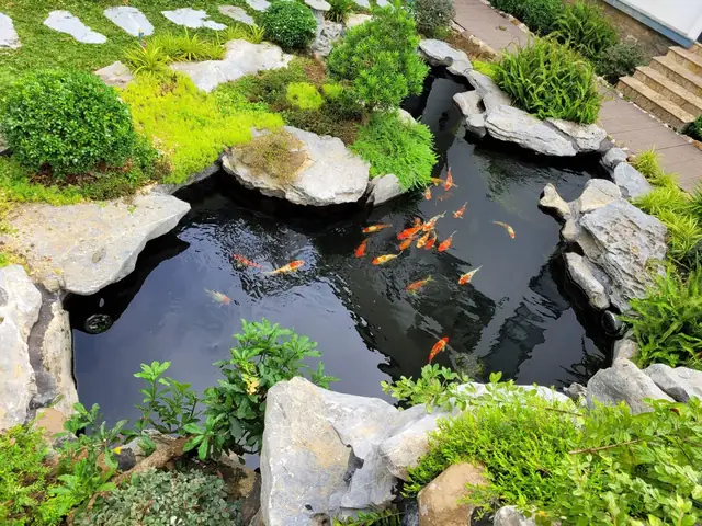 Làm Hồ Cá Giá Rẻ: Hướng Dẫn Chi Tiết & Lựa Chọn Tối Ưu