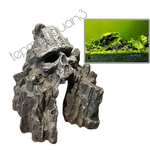 Mua Đầu Lâu Trang Trí Bể Cá: Hướng Dẫn Chọn Lọc & Phụ Kiện Đẹp